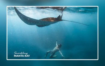 Manta Point Nusa Penida