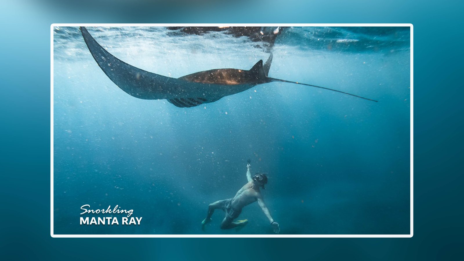 Manta Point Nusa Penida